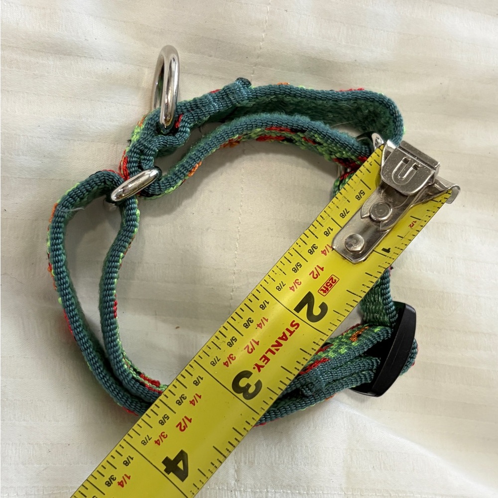 LUPINE PET BEETLEMANIA MARTINGALE COLLAR - Picture 3 of 4